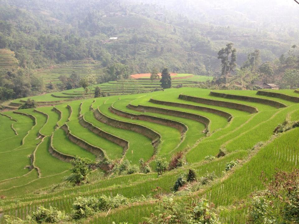 Ngan Nga New Hotel Bac Ha  Buitenkant foto